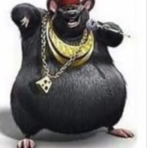 Meet your Posher, Riley